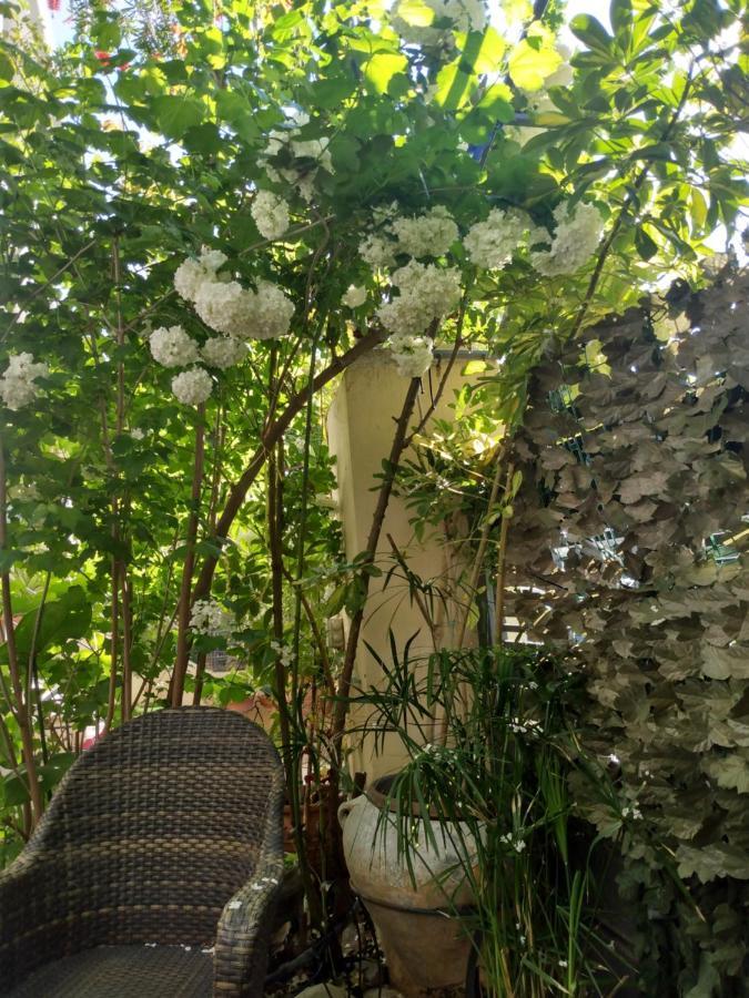 My Sunny Low Home Patras Ngoại thất bức ảnh
