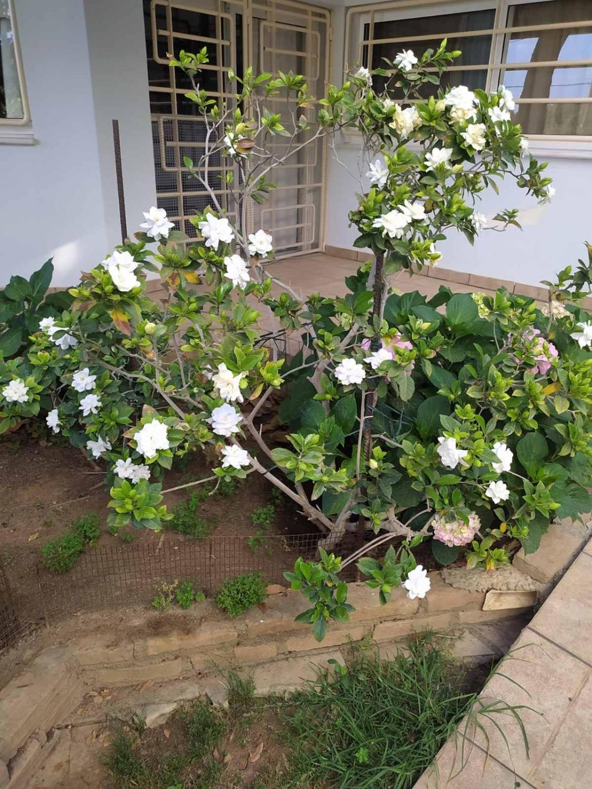 My Sunny Low Home Patras Ngoại thất bức ảnh